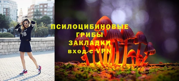 гидра Балахна
