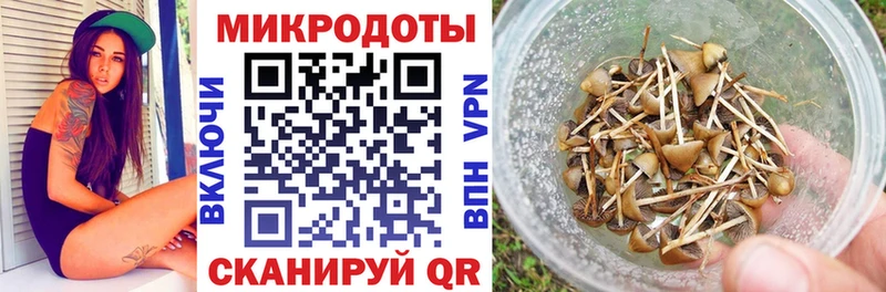 KRAKEN как войти  Белёв  Псилоцибиновые грибы Psilocybe 